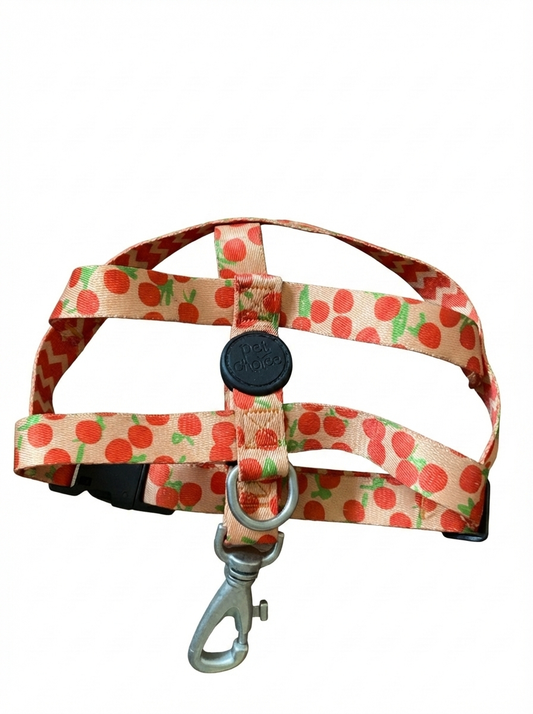 Conjunto Peitoral Tradicional c/ Guia