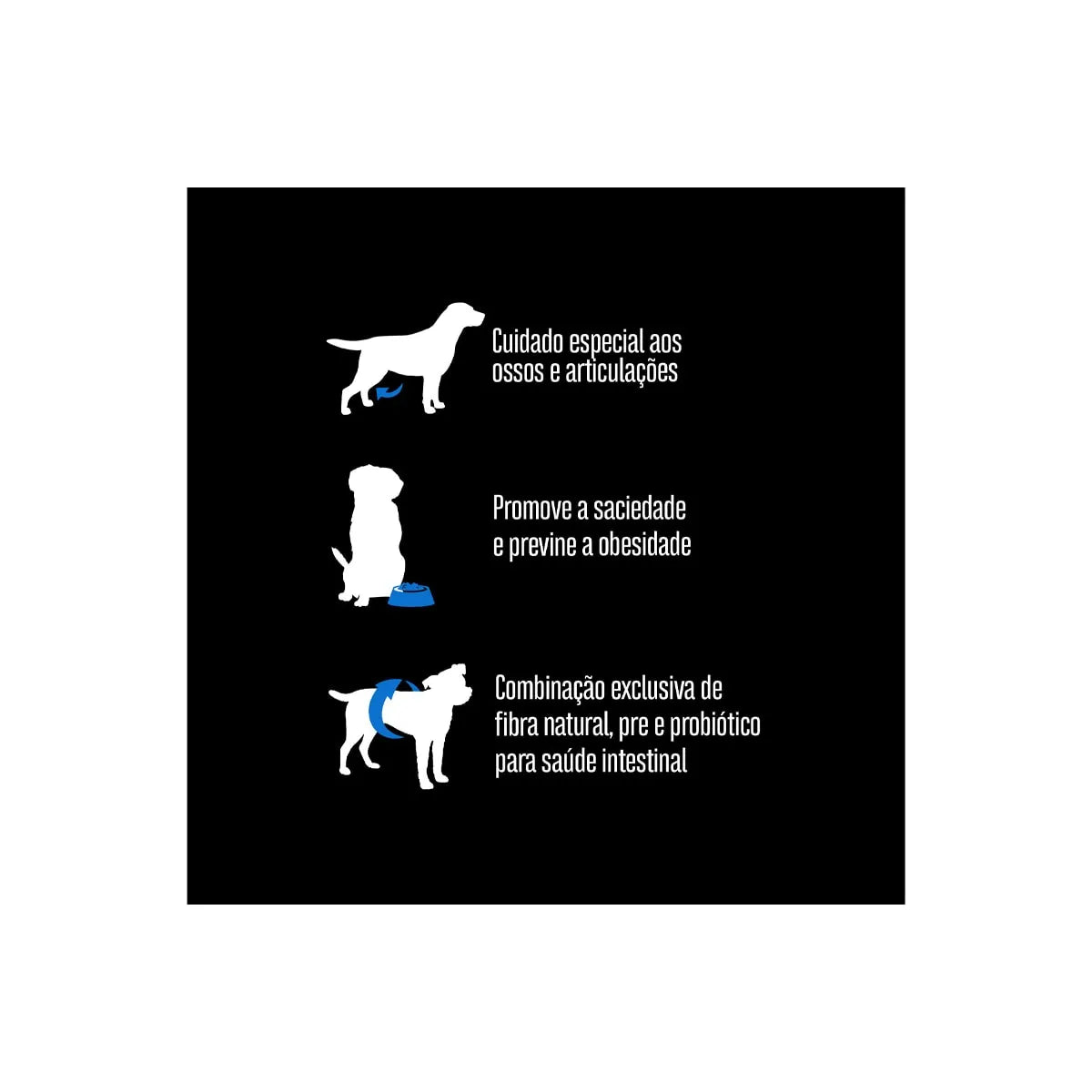 Ração Equilíbrio Golden para Cães Adultos de Porte Grande