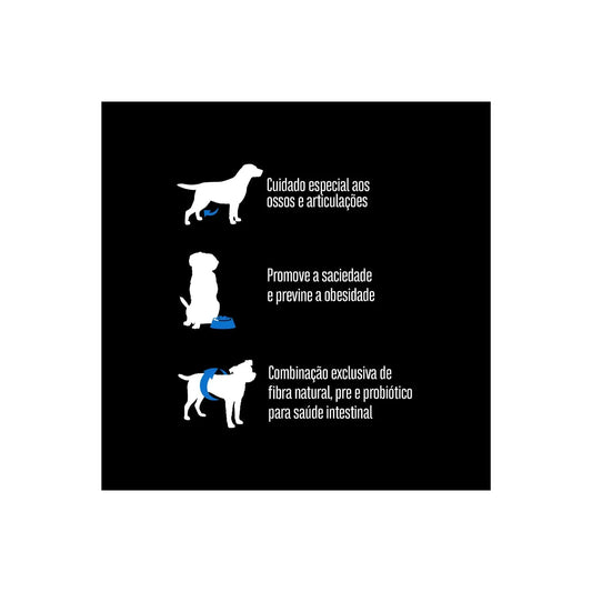 Ração Equilíbrio Golden para Cães Adultos de Porte Grande