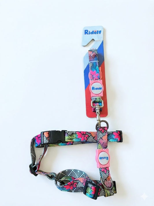 Peiteira Power c/ Guia M