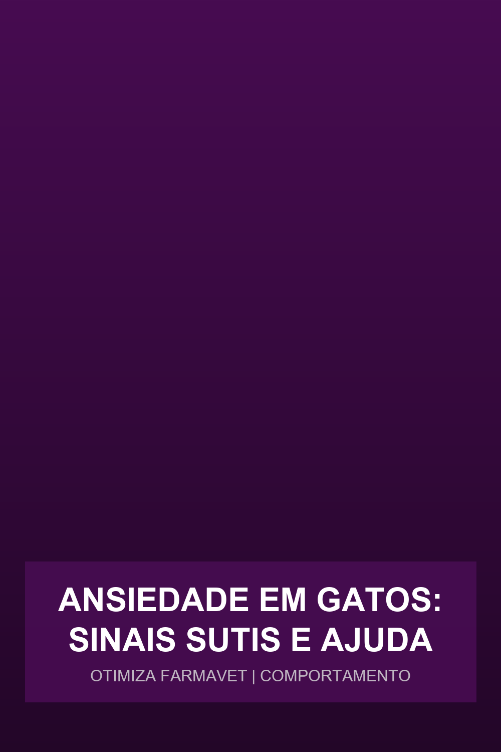 Ansiedade em Gatos: Sinais Sutis e Ajuda