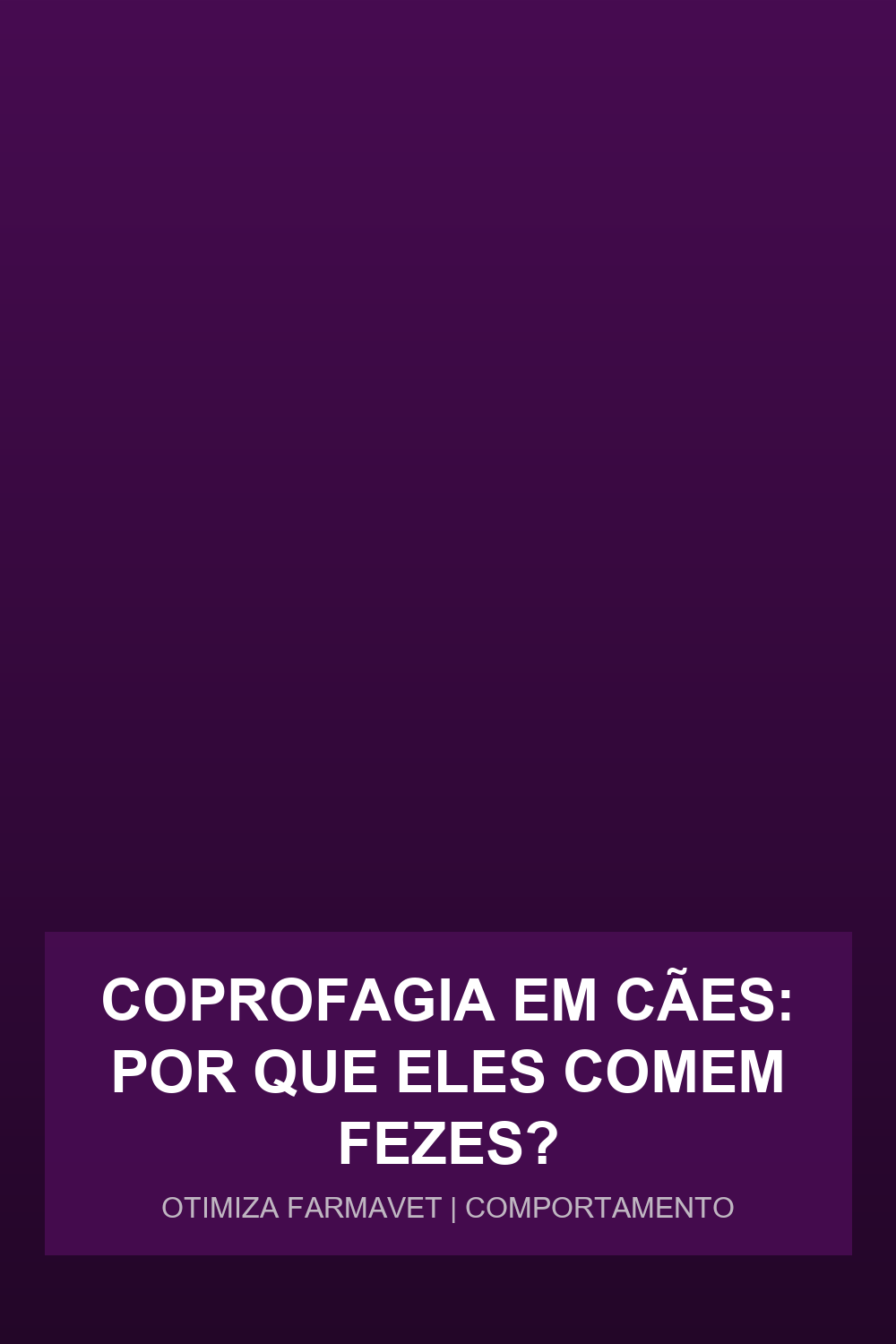 Coprofagia em Cães: Por Que Eles Comem Fezes?