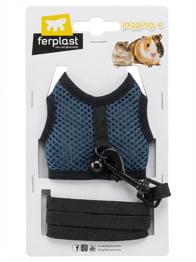 Coleiras para porquinho da india