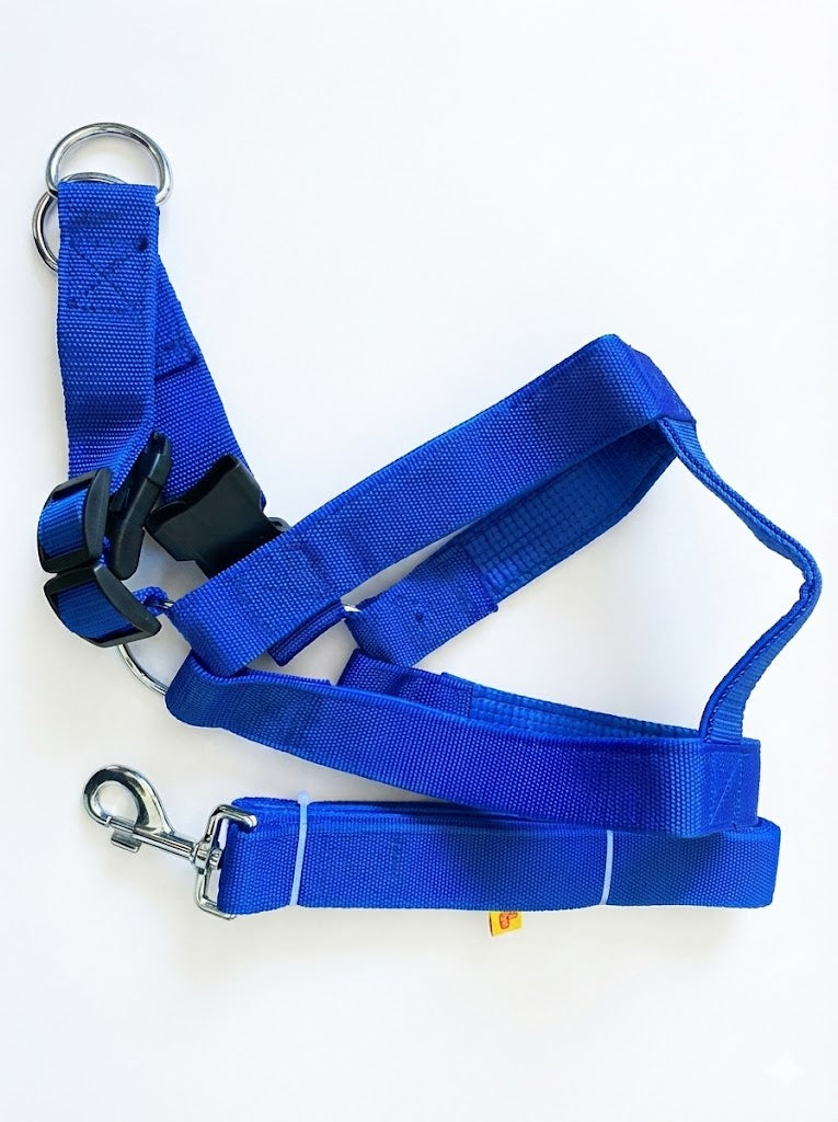 Dog guia peitoral super XGG