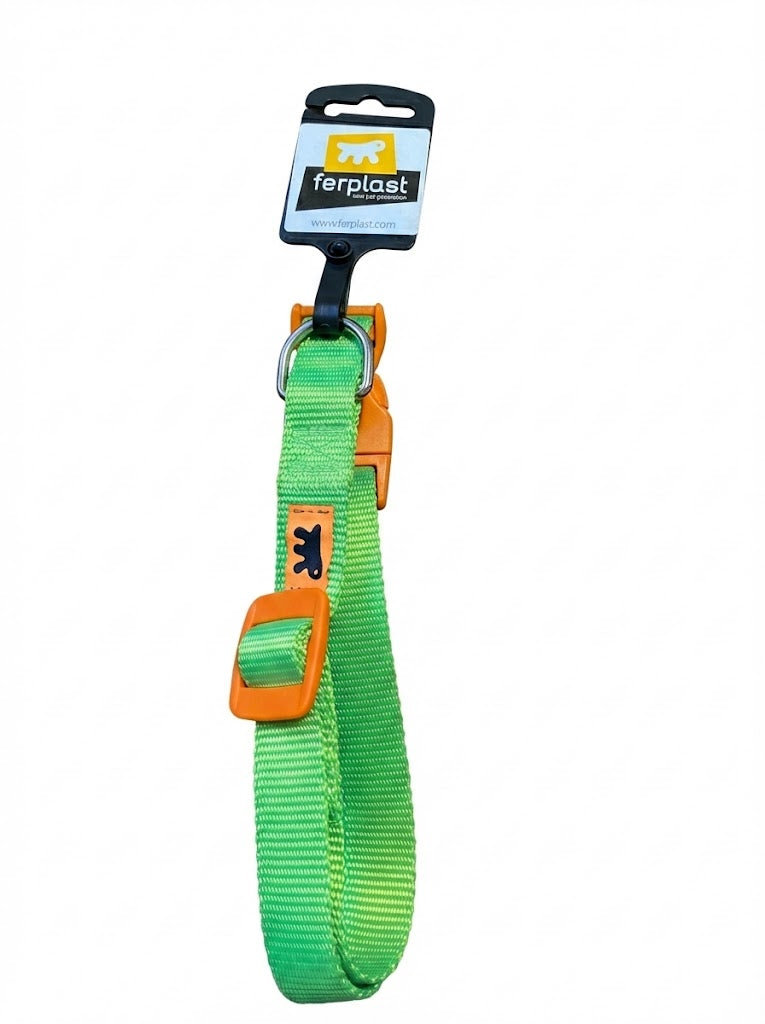 Coleiras Club Colours